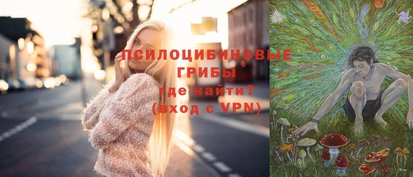 кокс Бородино