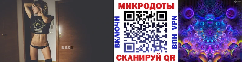 Галлюциногенные грибы Psilocybe  Северск 